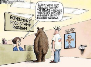 bear food stamps