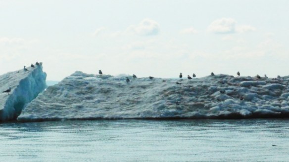 lake superior ice bergs