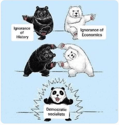 This image has an empty alt attribute; its file name is image-8.png